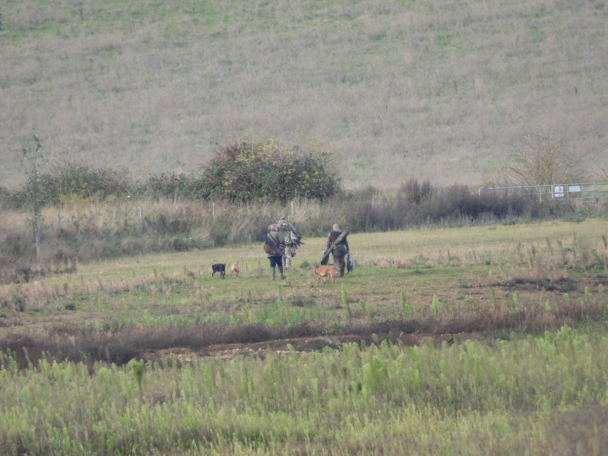 leslie fox tweet media