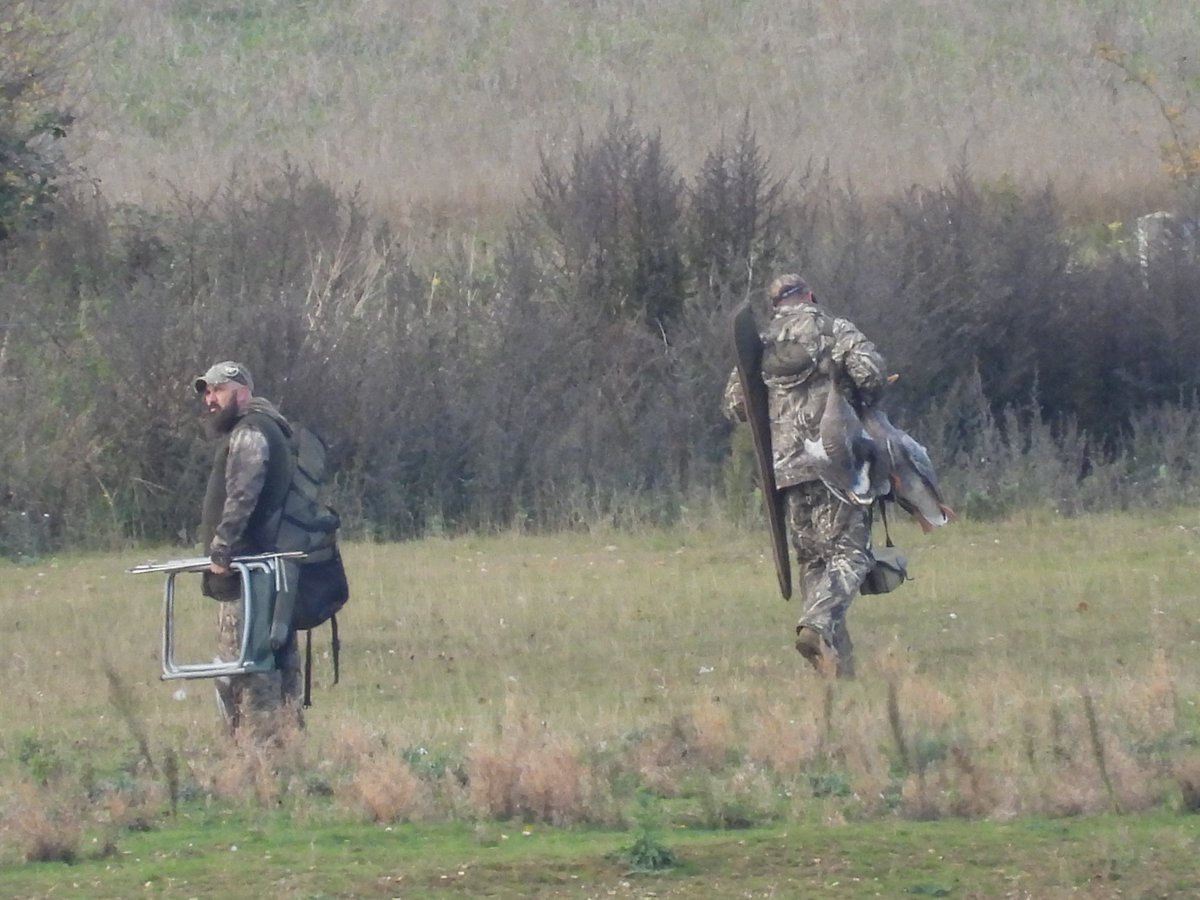 leslie fox tweet media