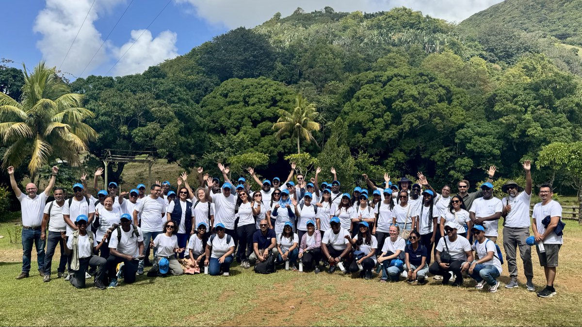 UNDP Mauritius tweet media