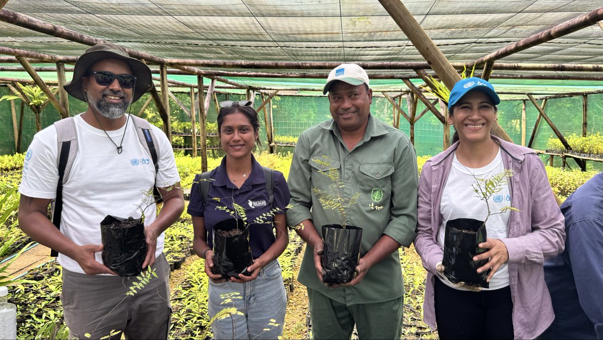 UNDP Mauritius tweet media