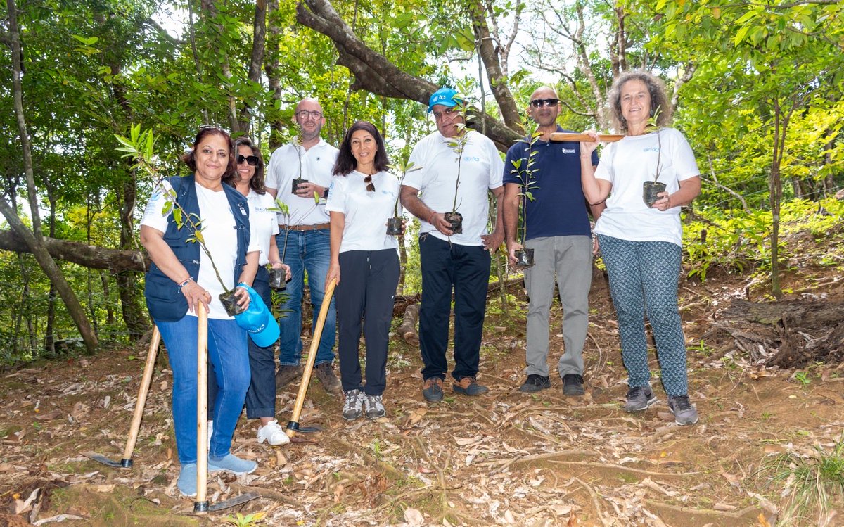 UNDP Mauritius tweet media