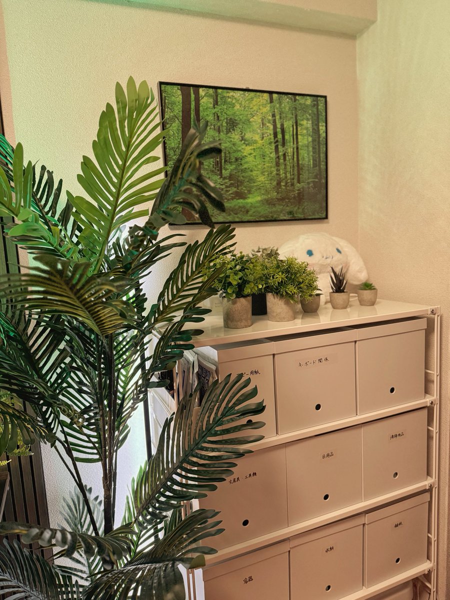 frontmanX_sh's tweet image. 夜ルーム
シナモンの横の壁には、ボヘミアンなファブリックな棚にグリーンを飾ろうかと計画中。とりあえずグリーンはそろった！
#roomsetup  #desksetup #verticaldesign #ボタニカル #botanical #ボヘミアン　#bohemian