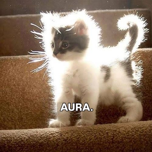 Does he have aura?