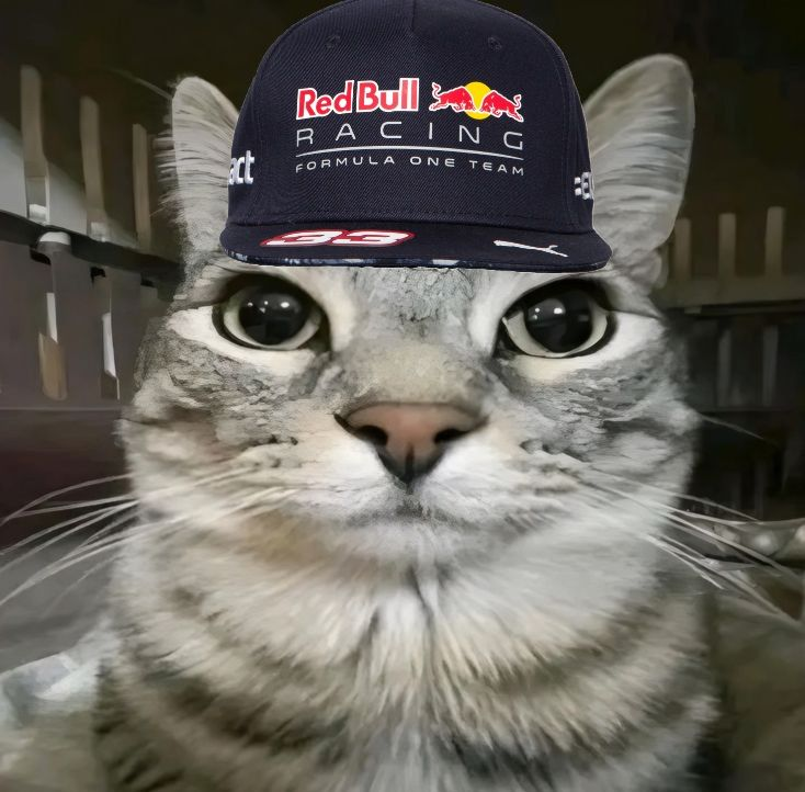 elon musk stimmy flex is all over my timeline