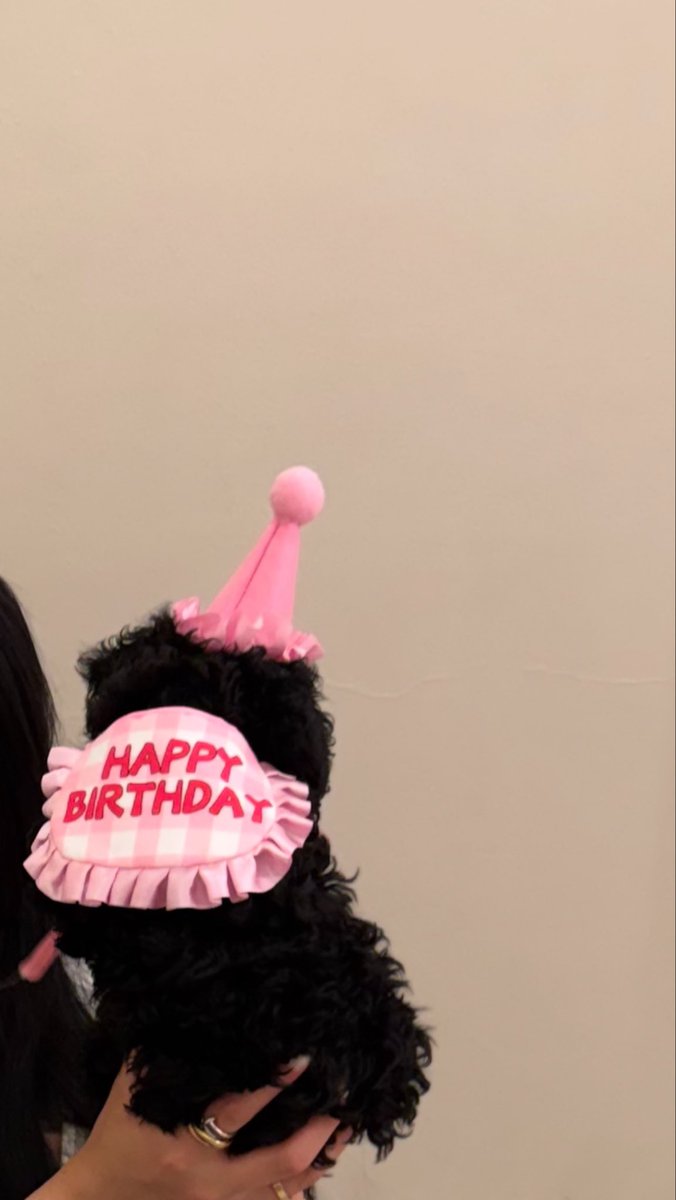 nmalshaaban's tweet image. birthday with lumi 🩷🐾