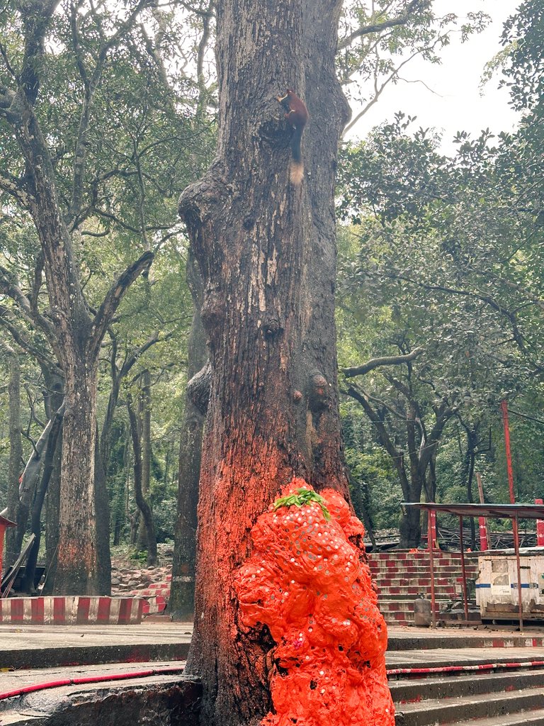 RebelliousFront's tweet image. Rainy day in Japali Hanuman temple, Tirumala