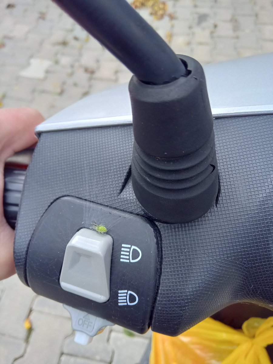 Misafirle gezdik biraz