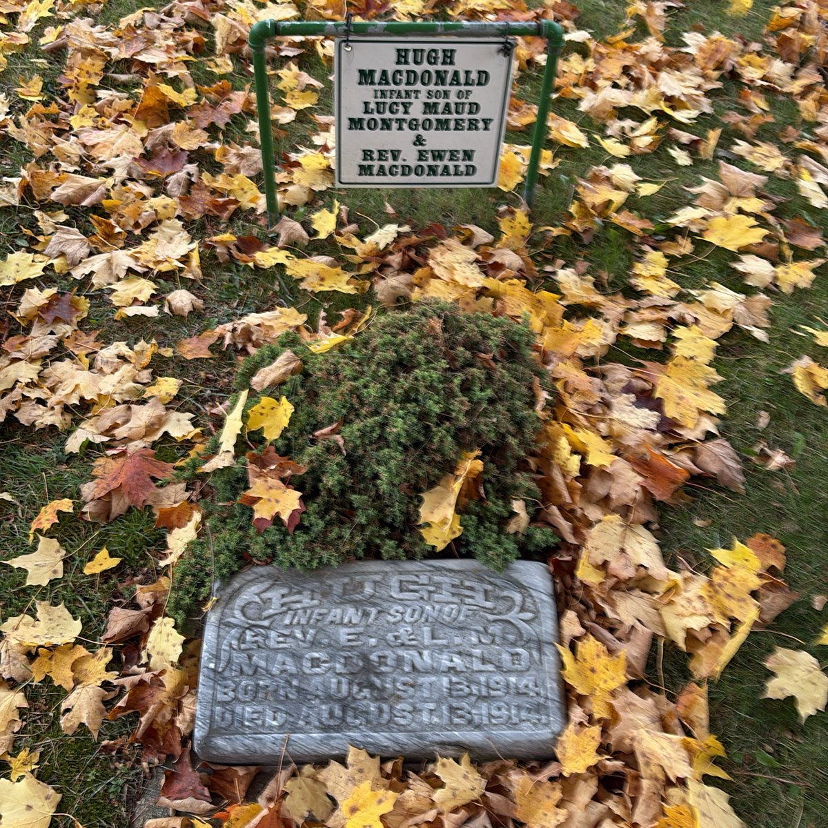 Paying respects along the way to LM Montgomery days in Leaskdale Ontario. 

RIP baby Hugh
