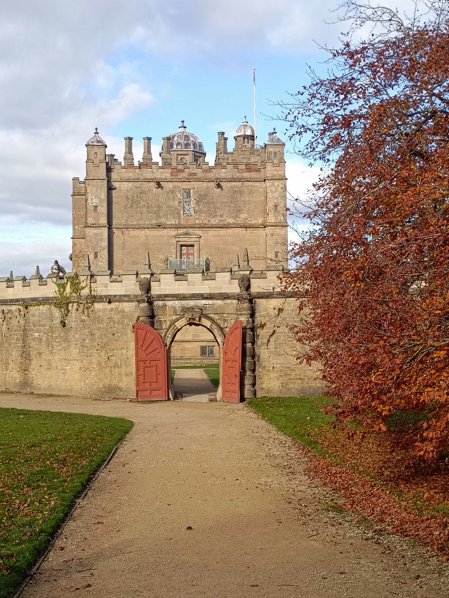 Harry MacDonald tweet media