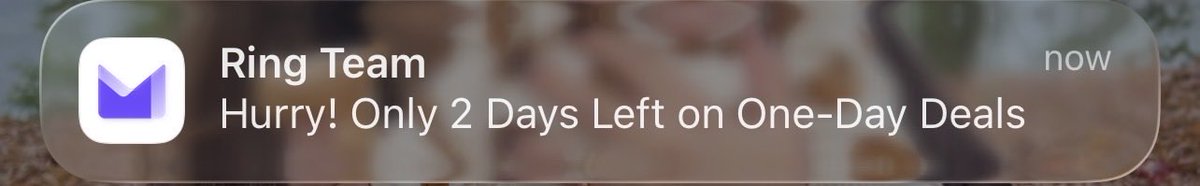 therealSnapback's tweet image. 2 days left on the one day sale!