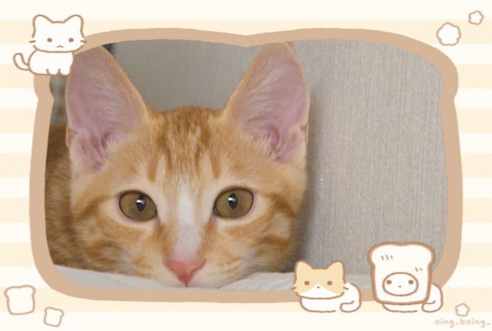 길거리 캐스팅                                             데뷔