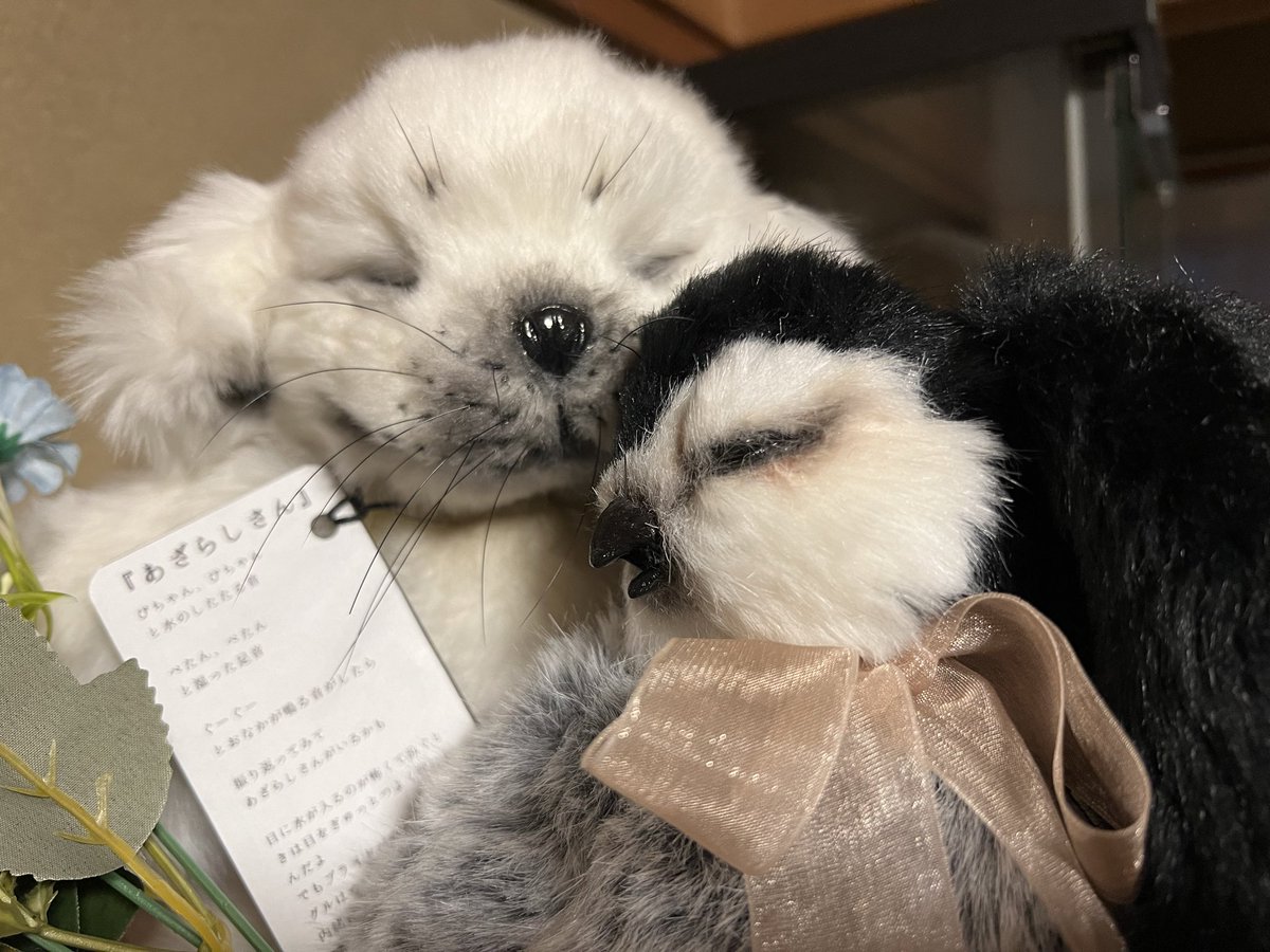 ハラペコ (@hoppeta25chi25) / Posts / X