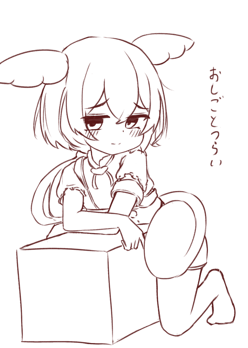 かみみや (@kamimiya_yade) on Twitter photo 