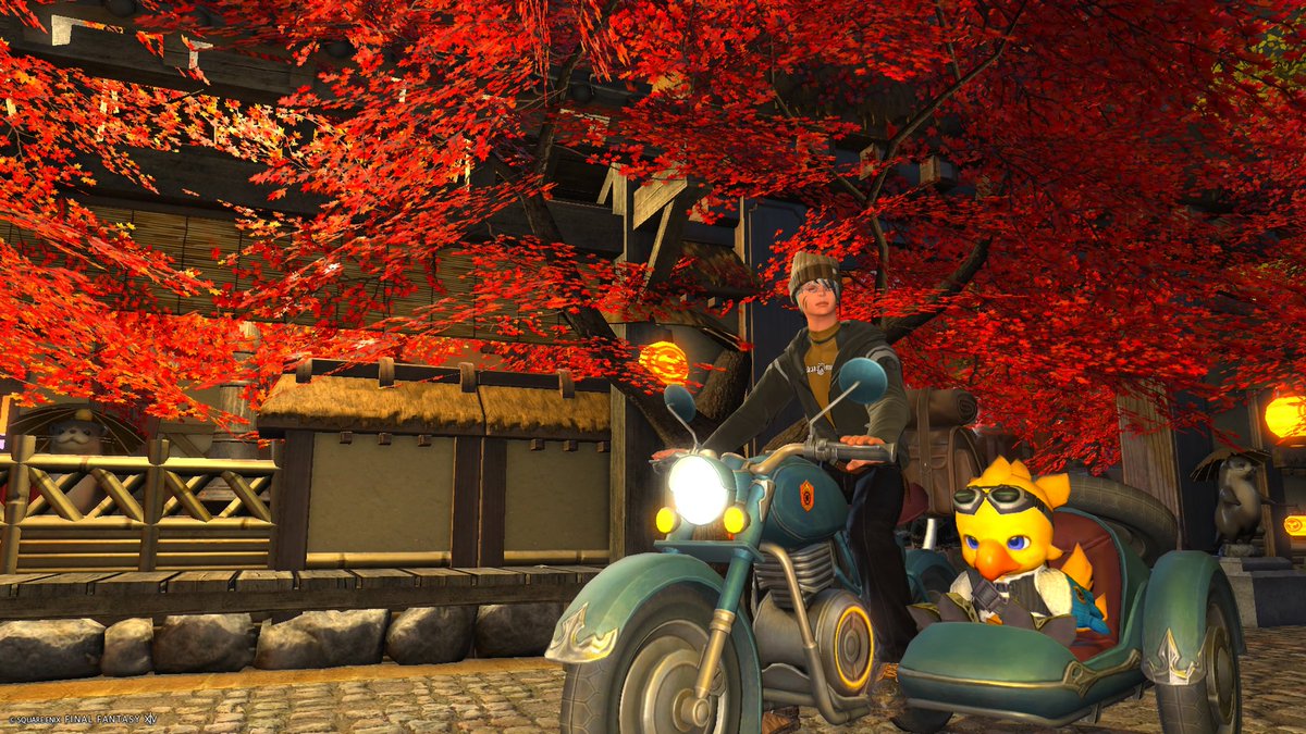 グレイブさま Amazon.co.jp: Headway HD-FUYUZAKURA'24 SFS-ESU/ATB