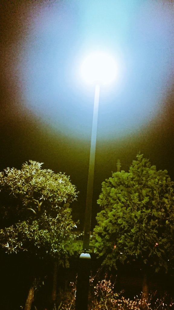 ayaさま専用ページ あや様専用ページ ayaさま専用ページです♡ 絢 (@aya961109) / X