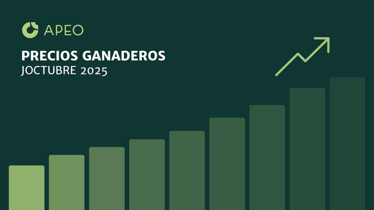 🌧️Linda lluvia para mirar un poco los precios implícitos de los principales negocios ganaderos que están en valores récord🔥 !