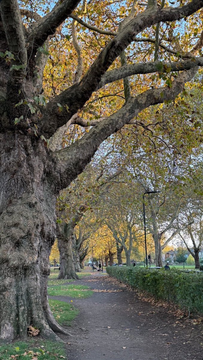 Olivia via Instagram stories!