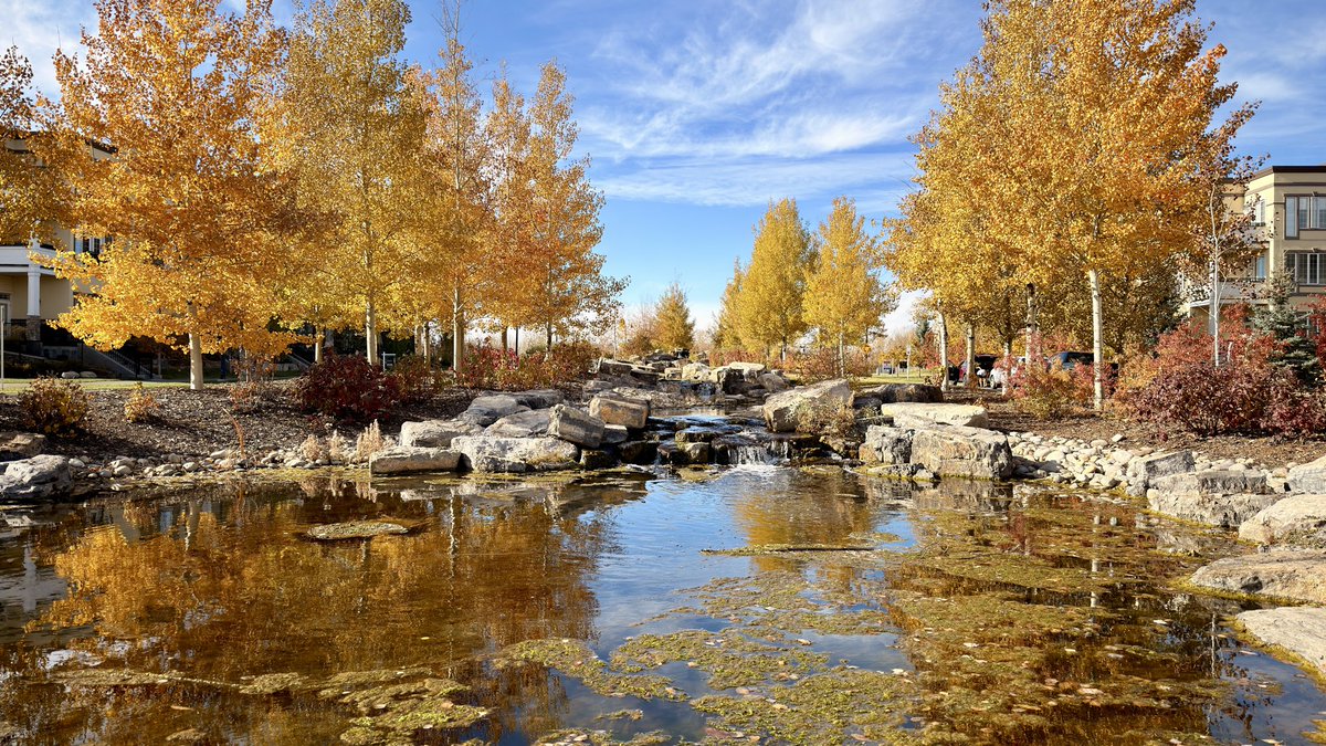 gmoe_hewitt's tweet photo. @CTVCalgary photo from Quarry Park yesterday https://t.co/6P9lmsZ2DC