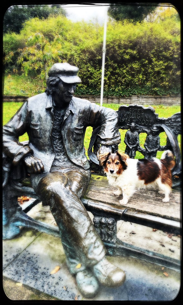 Jane Milligan🦸♀️ (@goonchild4) on Twitter photo Open day <a href="/stephenshouse/">StephensHouse&Garden</a> for another Spike tour of the archives. Scrumpy in attendance. 🐶 Open day <a href="/stephenshouse/">StephensHouse&Garden</a> for another Spike tour of the archives. Scrumpy in attendance. 🐶