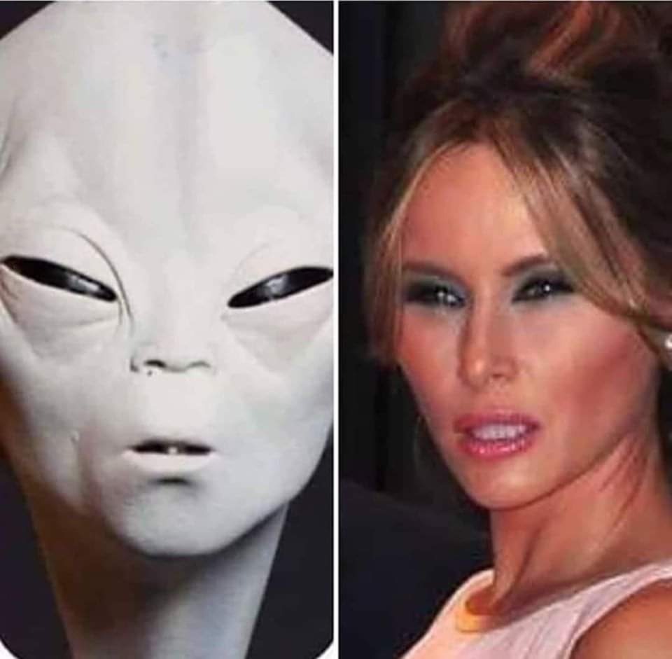 I heard a long time ago that Melania was an alien and I always thought that, and its only recently that I found out that she initially landed on Earth in Slovenia.
