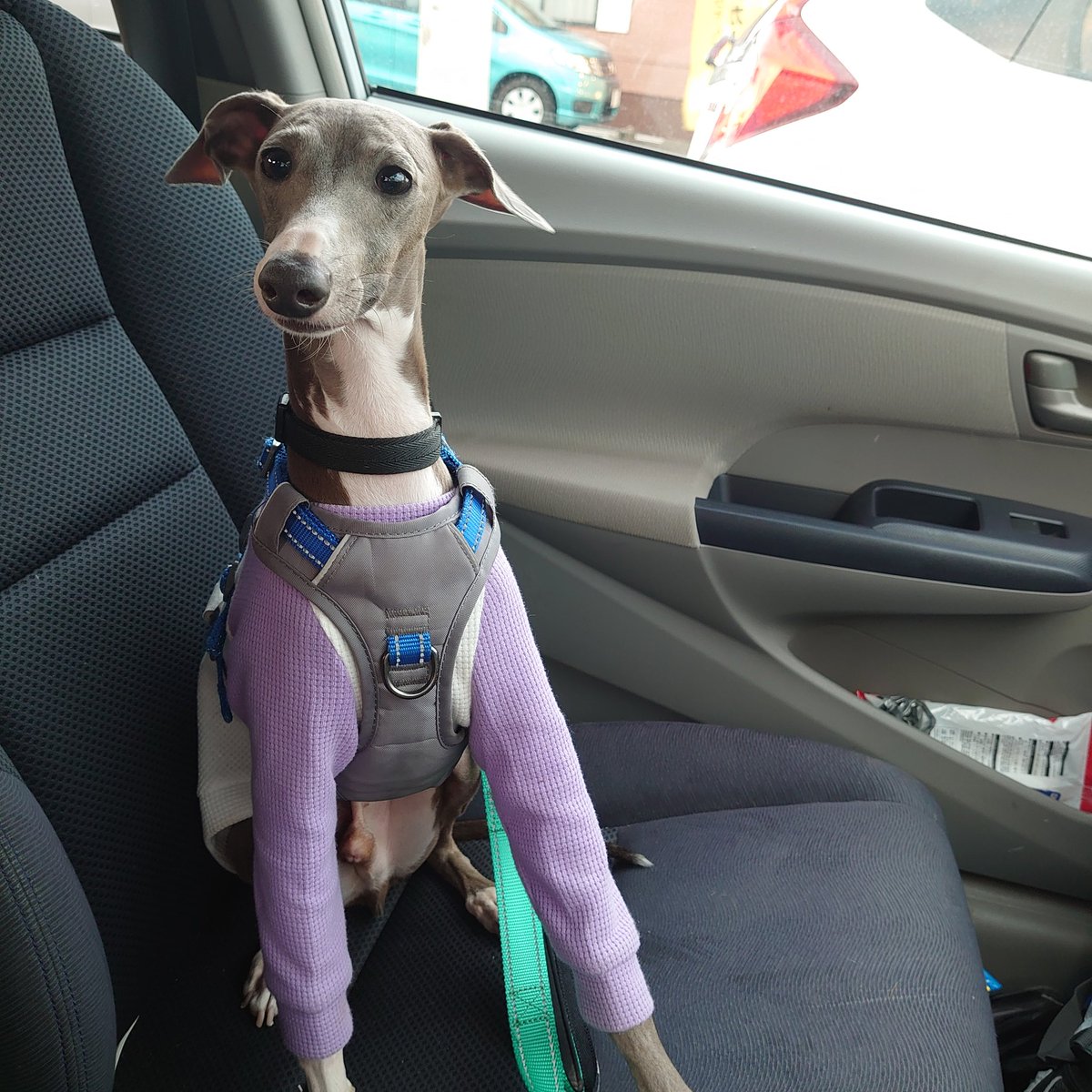 マコパパ (@wHxEv6porz4U7j3) / Posts / X