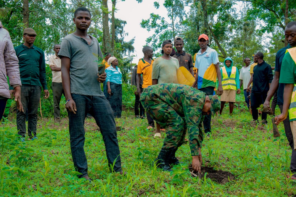 KayonzaDistrict's tweet photo. Mu Mirenge yose y’Akarere abaturage n'Abayobozi mu nzego zitandukanye bazindukiye mu muganda rusange usoza ukwezi k’Ukwakira 2025, uyu muganda waranzwe no gutera ibiti. Ku rwego rw’Akarere, umuganda wakorewe mu Murenge wa Murundi, Akagari ka Karambi, Umudugudu wa Nyamirama. https://t.co/37YTPex4cn