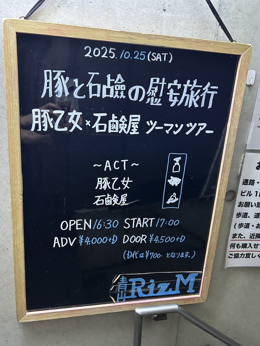 Saruwa2♡ ZARA KOZAKI SOFT SKÓRA BORDO MARSZCZONE 38 - 7701353755