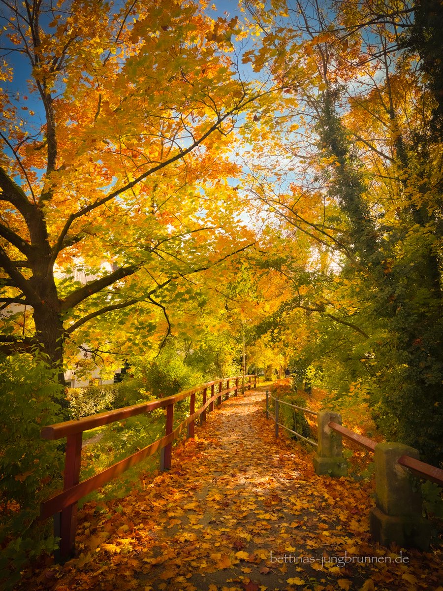 Herbst ist der Moment zwischen Atemholen und Weitergehen.