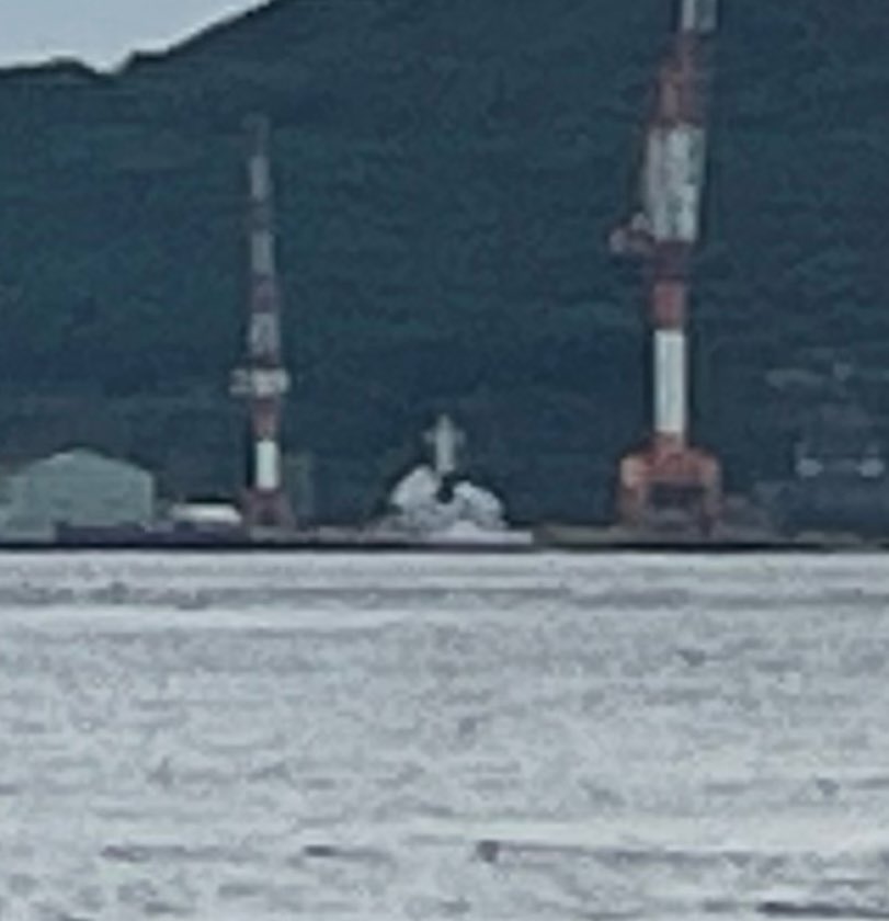 野生のうみまる (@jcg_seaman118) / Posts / X