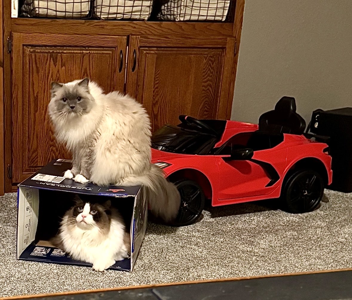 Apparently, the 📦 is a better ride than their C8🤷‍♂️🤠