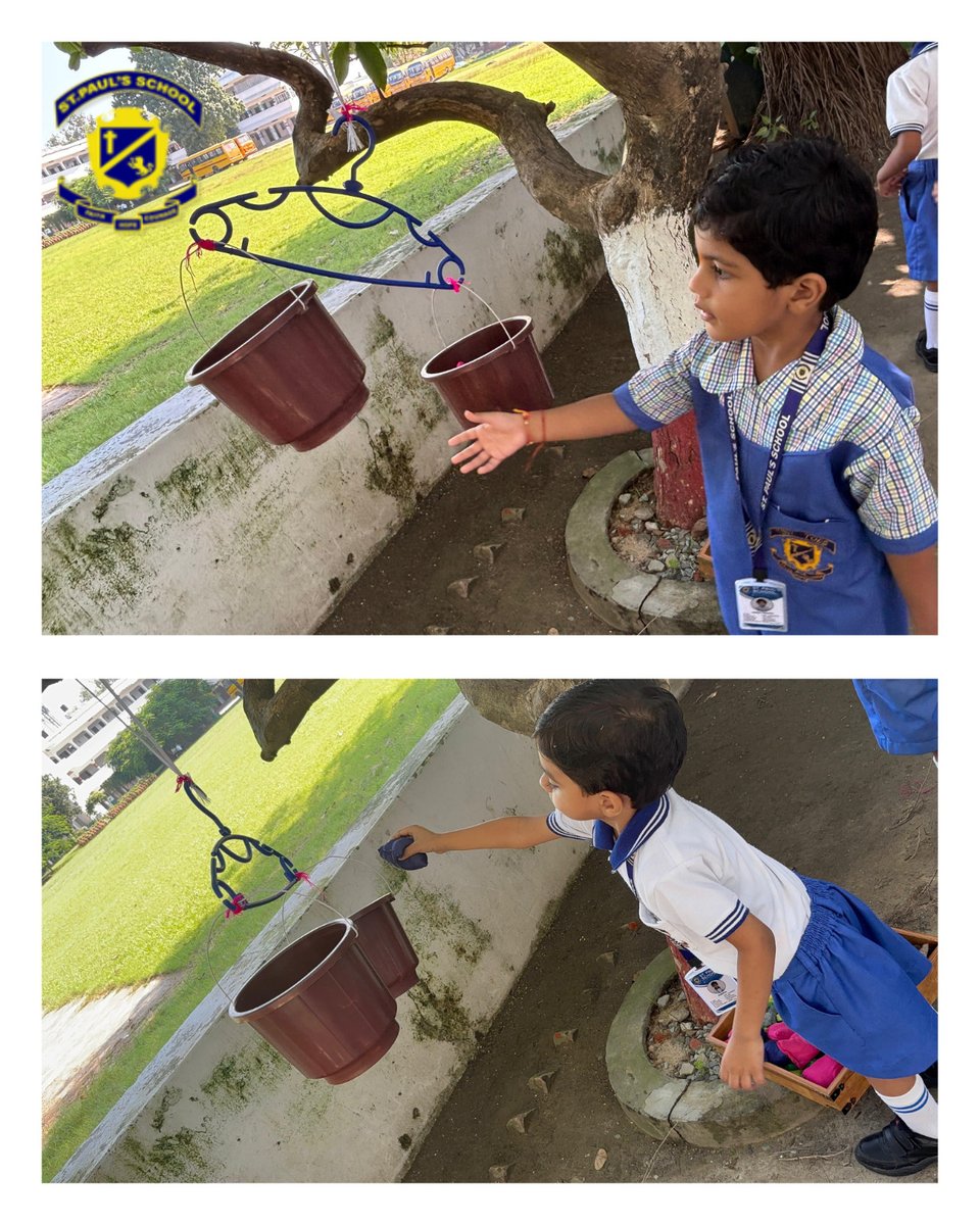 gkp_sps's tweet image. Exploring Weight with Different Objects!

Our young learners had a fun and engaging time experimenting with the balance scale, discovering how different objects weigh more or less.

#StPaulsSchoolGorakhpur #HandsOnLearning #ScienceActivity #BalanceScale #LearningByDoing