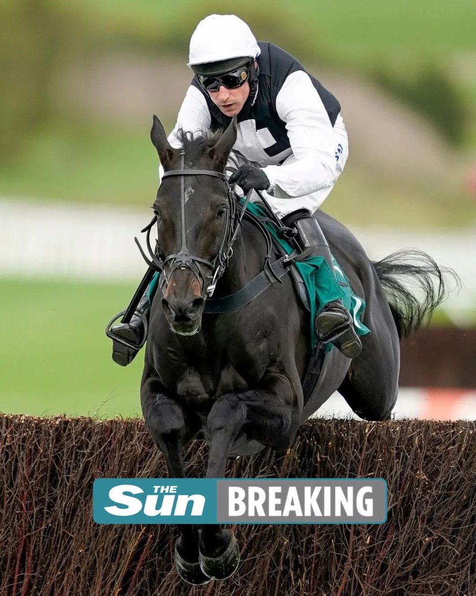 TRAGEDY struck the first day of racing back at Cheltenham this season when punter favourite Third Time Lucki suffered a fatal injury.

The Fergal O’Brien-trained ten-year-old went wrong in the big 2m handicap chase at 3.35pm.

The horse’s sad death was confirmed by Oli Bell on