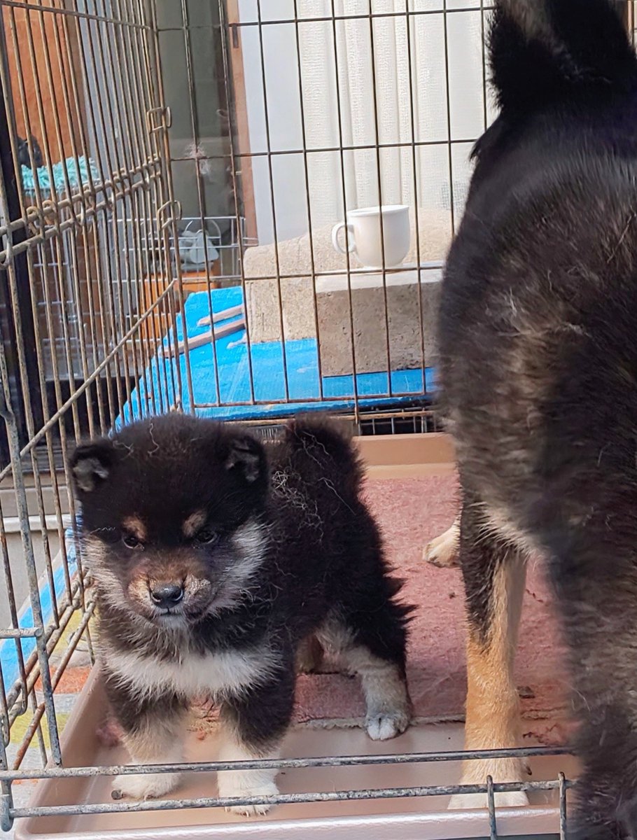 みなみです₊⁎⁺˳✧༚ 斉藤まなみ💜 (@3110073x) / Posts / X