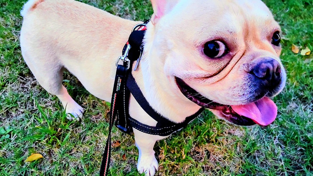 KANAページ かな☆ on X