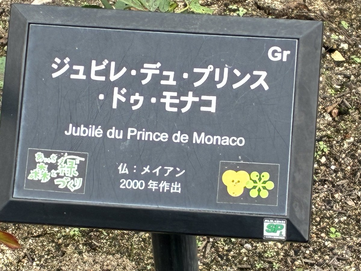 田村一「薔薇」 あゆみʢ•ﻌ•ʡビビ on X