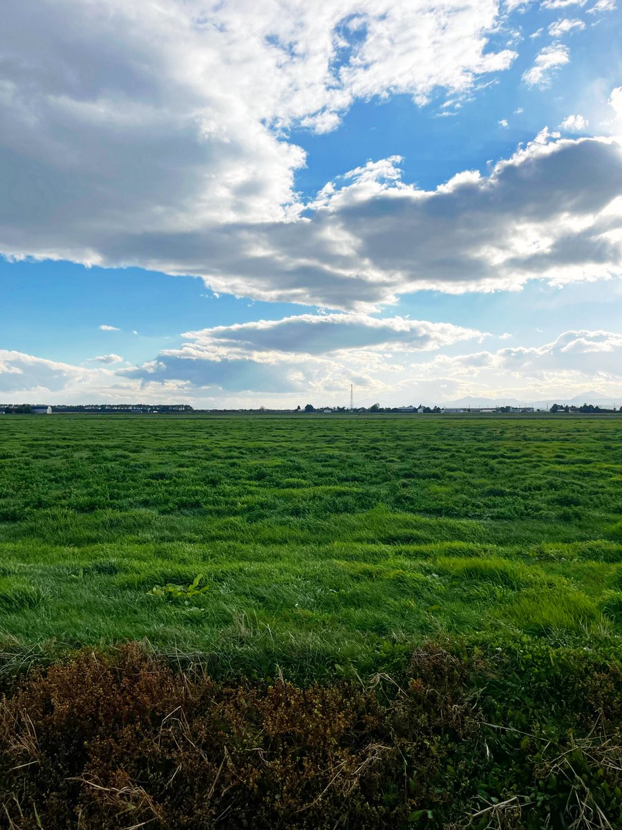 tmimimt's tweet image. 長沼現調の道すがら。ふと足を止めてしまう風景がある。究極的にはそれを愛で、守り、育みたいとおもう。たまたまこの写真に建築はほとんど無いかも知れないがこの風景は人工物である。回り道かもしれないが建築を設計してる理由はそういうところに向けられている。