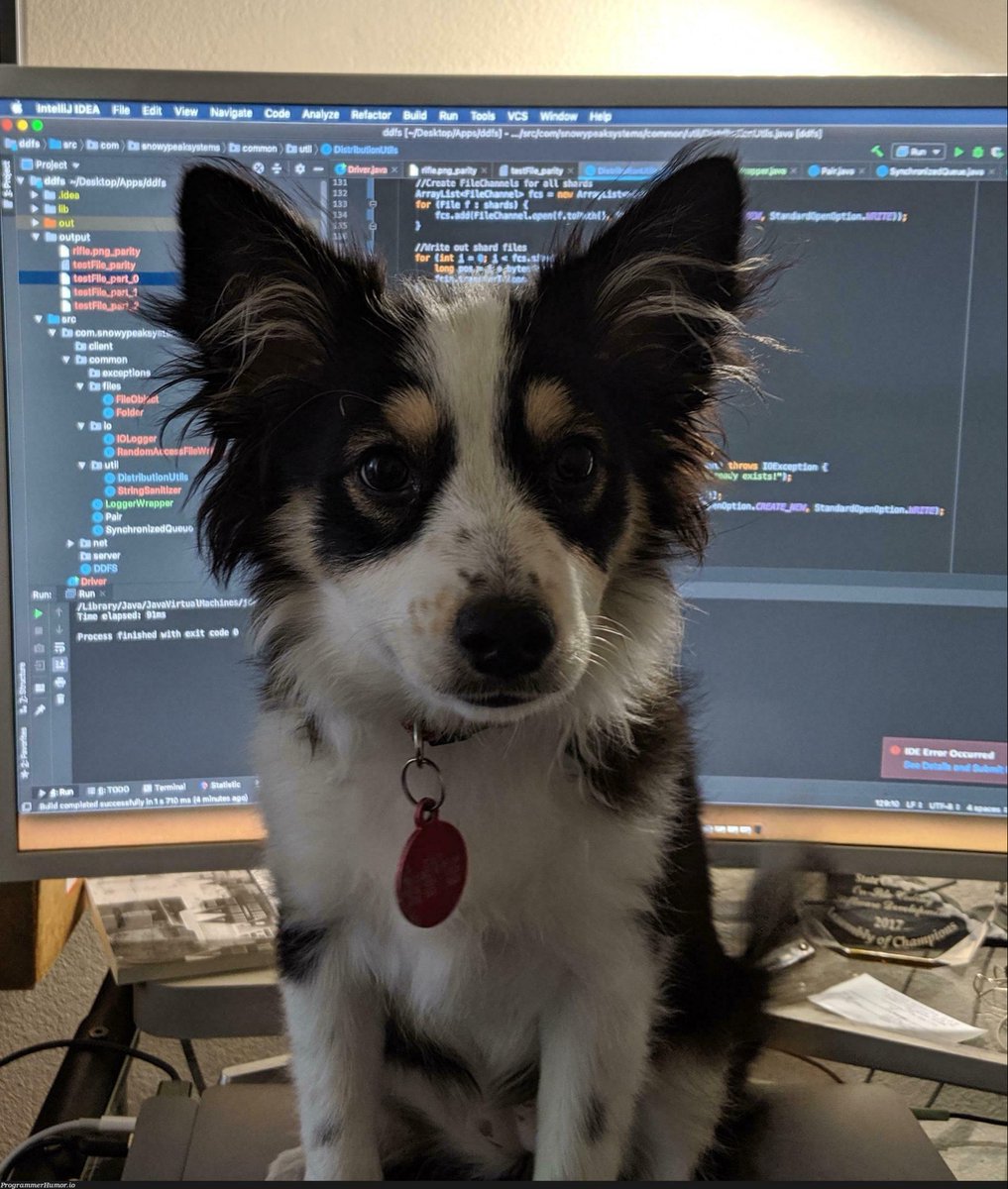 lingodotdev's tweet image. I don’t need a rubber duck 🐶