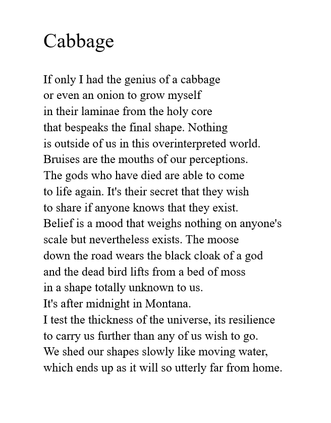 Jim Harrison. From: Saving Daylight (Copper Canyon, 2006).