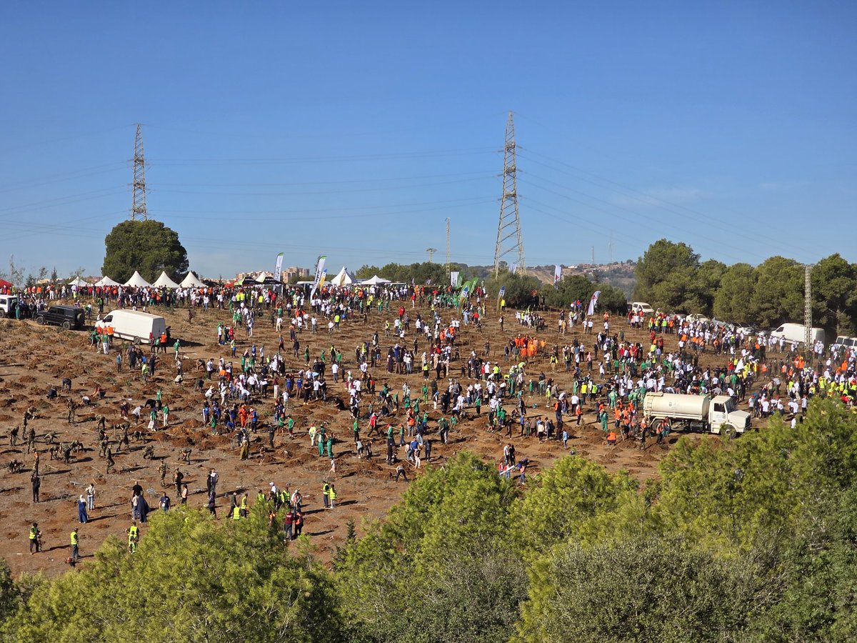 Hundreds of thousands of Algerians are mobilized today oct 25 across the nation to plant 1 million trees🌳 Such a powerful act of unity and commitment for a #GreenAlgeria 🌿
Together, we build a sustainable future for our children. 🇩🇿 #1MillionTrees #AlgeriaGoesGreen