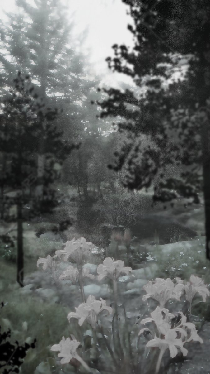 🌙예술사 3학년🌙

여자연

<장산범>

산 속에서 마주한 호랑이, 나 대신 내가 되려는 것 같다.

2026 KNUANI 정기 • 졸업작품 전시 및 상영회

26.01.19-01.24
한예종 석관캠 예술정보관 1층•5층