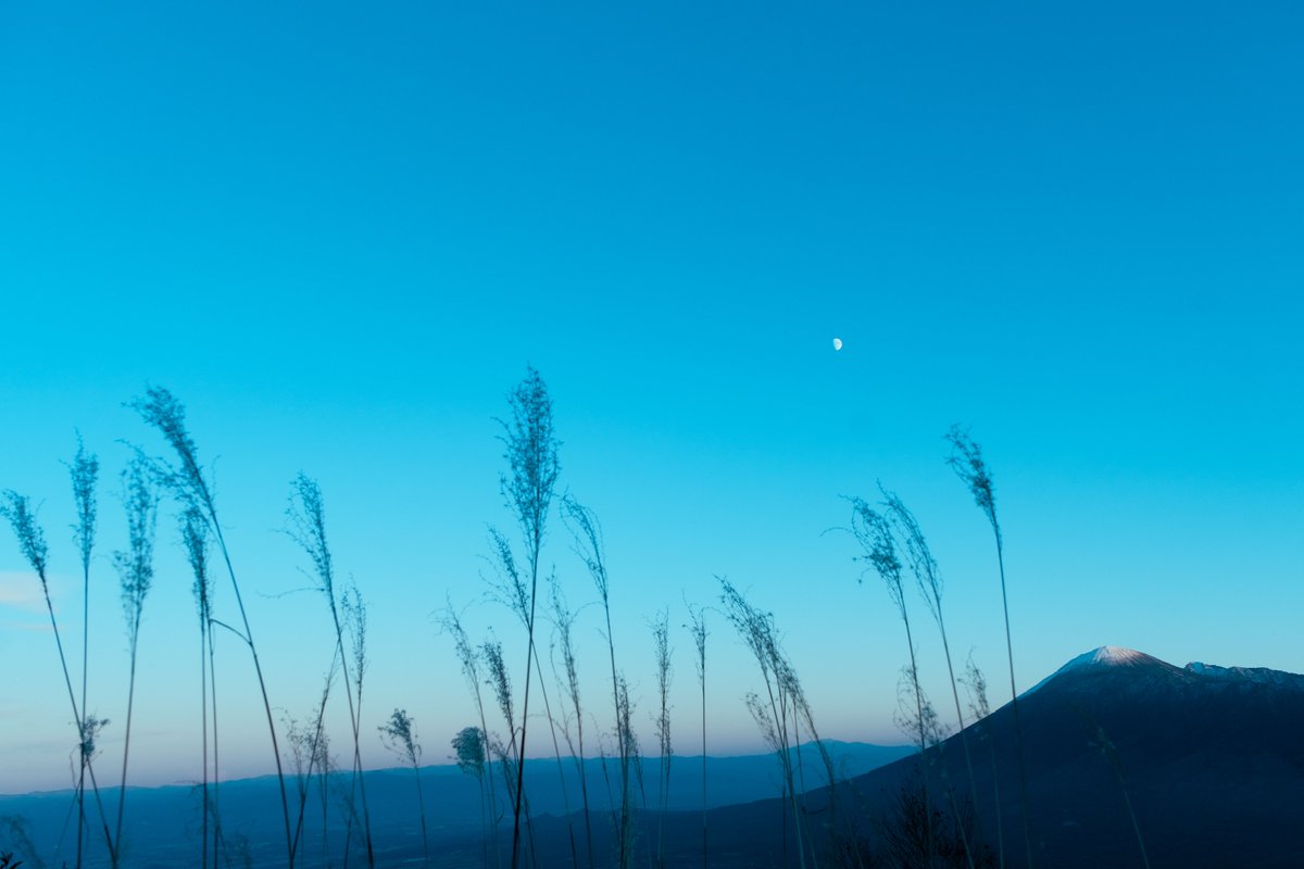 ブルーに染まるこの時間が好き。