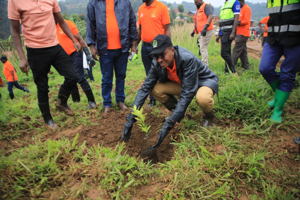 RutsiroDistrict's tweet photo. #Rutsiro: Minisitiri wa @RwandaEmergency Maj. Gen. (Rtd) Albert Murasira yifatanyije n'abaturage b'Akarere mu murenge wa Kivumu mu #muganda usoza ukwezi ahatewe ibiti hakanazihirikanwa umunsi mpuzamahanga wo kurwanya ibiza no kugabanya ingaruka ziterwa na byo. @RwandaLocalGov https://t.co/EJhUax6SZq