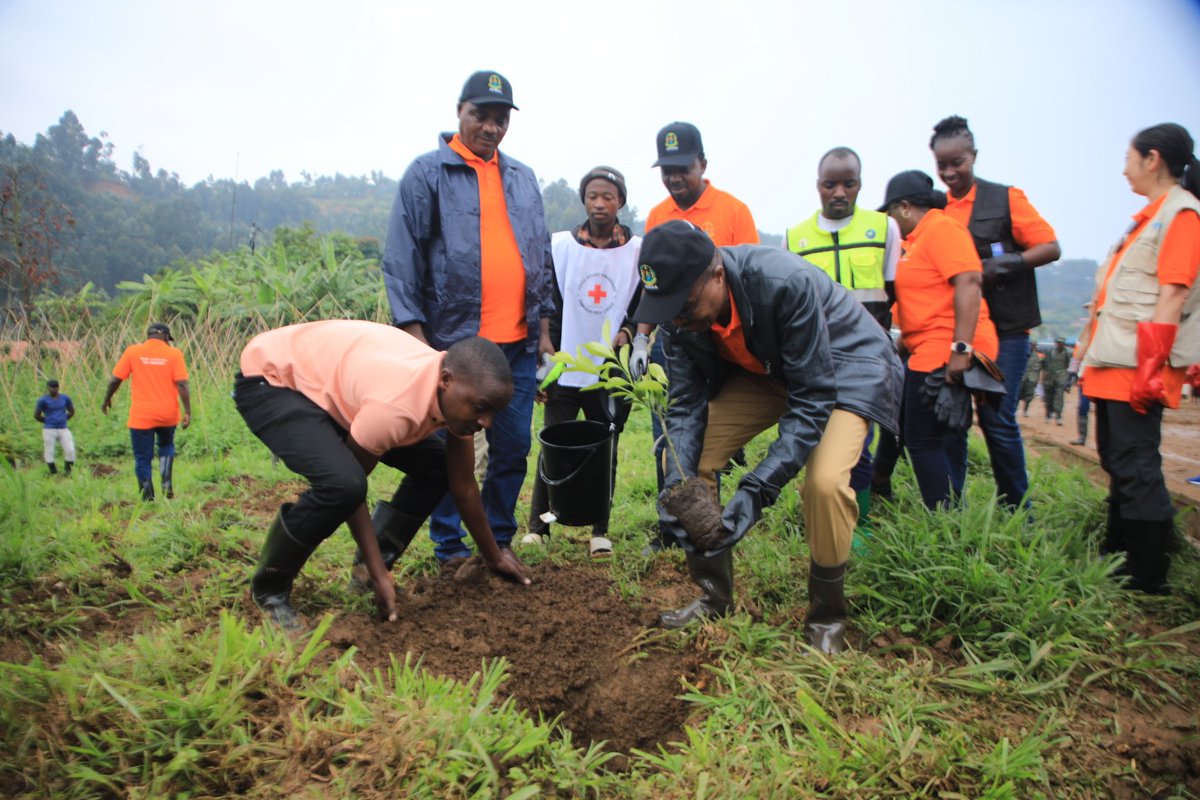 RutsiroDistrict's tweet photo. #Rutsiro: Minisitiri wa @RwandaEmergency Maj. Gen. (Rtd) Albert Murasira yifatanyije n'abaturage b'Akarere mu murenge wa Kivumu mu #muganda usoza ukwezi ahatewe ibiti hakanazihirikanwa umunsi mpuzamahanga wo kurwanya ibiza no kugabanya ingaruka ziterwa na byo. @RwandaLocalGov https://t.co/EJhUax6SZq