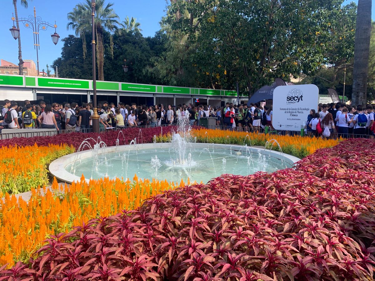 👩‍🔬👨‍🔬 Alumnado de 3ºESO, 4ºESO y 1º de Bachillerato disfrutó el 24 de octubre de la #SECYT25 en Murcia.
Allí conocieron a investigadores, visitaron estands y exploraron la ciencia en acción. 🧪🧫🧬⚗️✨