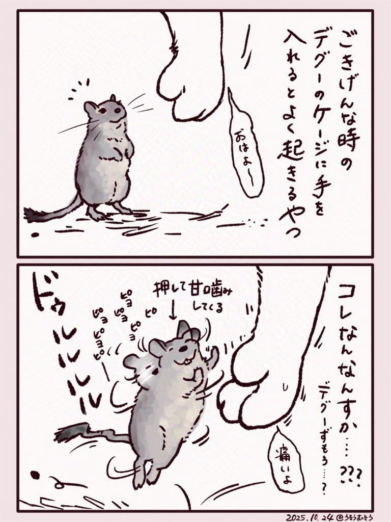 uso_mso's tweet photo. デグー飼ってからずっと気になってる

#デグーを飼ったよ ④
#コミックエッセイ https://t.co/vIZfeRpDcC