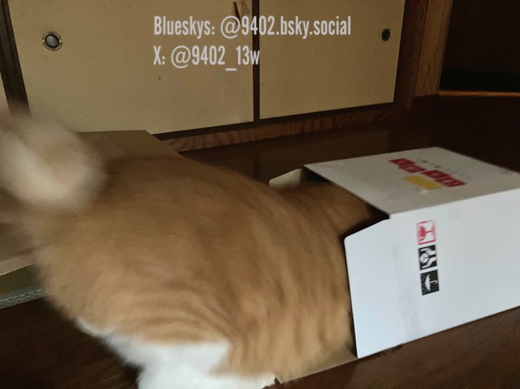 ひつじ様　確認用 13 Kawasaki Ninja EX 300 Right Tail Fairing 53065-0061