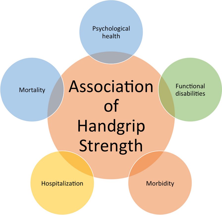 Hand grip strength (HGS): a new vital sign of health?

HGS 
▶️important biomarker of health
▶️identification of diverse health issues throughout the lifespan
▶️potential as a new vital sign

Associations of hand grip strength with health-related metrics👇🏼
jhpn.biomedcentral.com/articles/10.11…