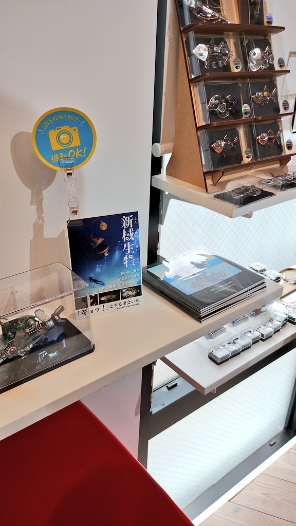 （╹◡╹） Still here…..