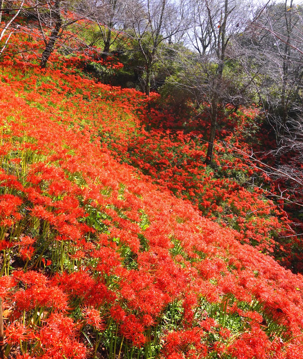 ヒロページ Amazon.com: 9x7 '' UTAGAWA HIROSHIGE JAPANESE 100 VIEWS EDO