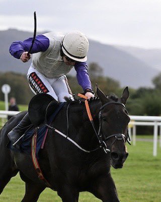 Halligan88's tweet image. Best of luck to everyone @PimlicoRacing who have 2️⃣ runners at Cheltenham today 🐎 

🟣 1:10 Zurich
🟣 4:40 Collanisi

@TomRaine | @nbbloodstock 

#horseracing #pimlico #cheltenham